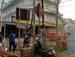 Sijago merah mengamuk di.Setori (SGD)setore mangga dua wayjepara di lamtim