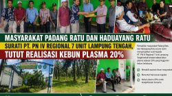 Masyarakat Padang Ratu dan Haduyang Ratu Surati PT.PN Unit IV, regional 7 Tuntut Realisasi Kebun Plasma 20%